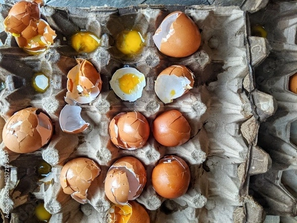 Obraz Broken eggs with shells were