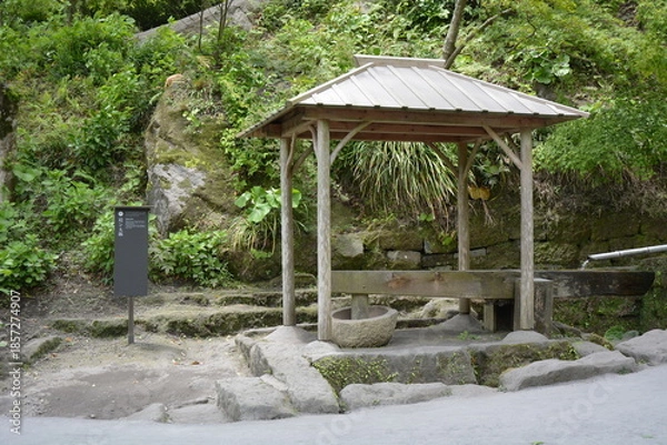 Fototapeta 幕末の近代化技術を伝える水力利用施設と新緑の風景