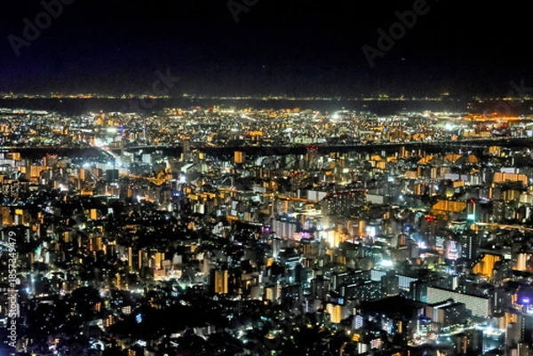 Obraz 東京スカイツリーからの眺め（東方向）