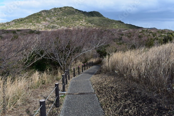 Obraz あいあい岬