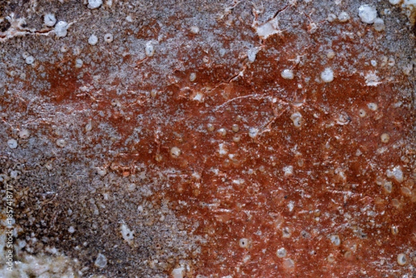 Obraz 緋色が出た信楽焼の表面