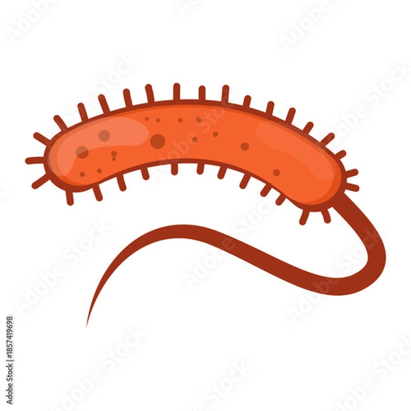 Obraz Vibrio Cholerae Illustration