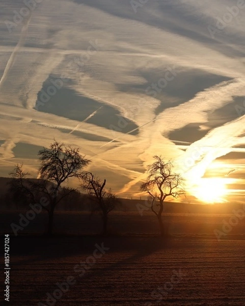 Obraz Fireworks of Nature