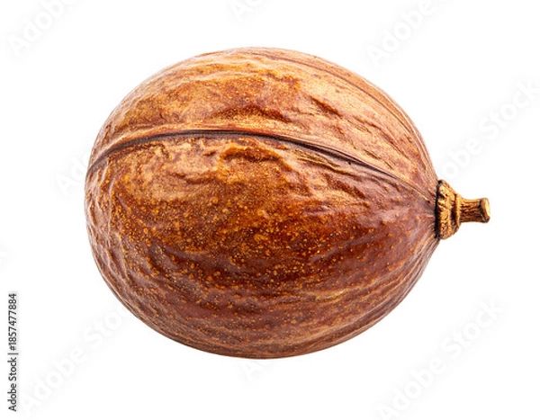 Obraz Whole Pecan Nut in Shell Isolated on White Background.