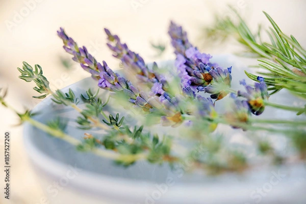 Obraz Thyme, rosemary and lavender