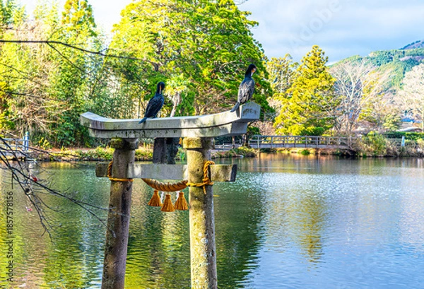 Obraz 大分県湯布院の金鱗湖