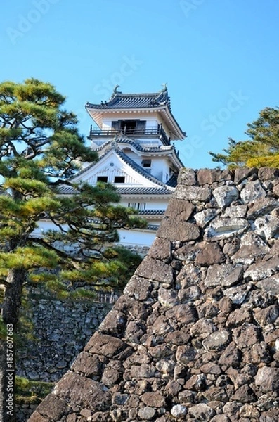 Fototapeta 高知城 天守閣と二ノ丸跡石垣