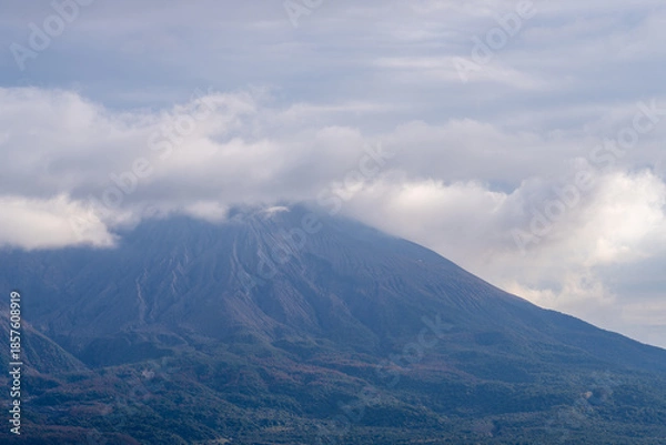 Fototapeta 曇天の桜島
