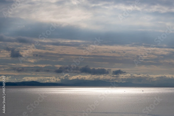 Fototapeta 冬の朝、海を眺める