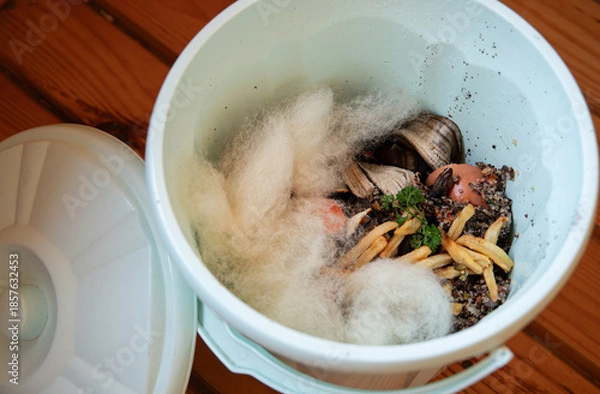 Obraz Compostable packaging material made from sheep wool in a compost bin. Biodegradable material.