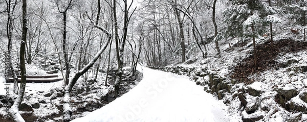 Obraz 눈 덮인 숲 속 길 풍경