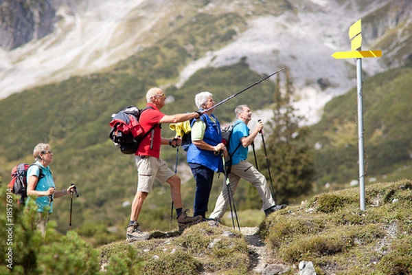 Fototapeta four senior hikers looking for the right way