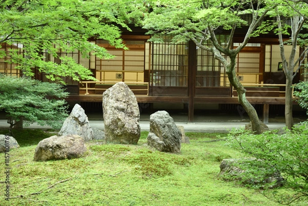 Fototapeta 建仁寺　初夏の潮音庭(京都市東山区)