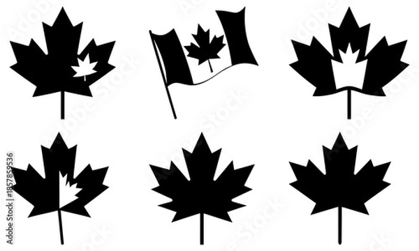 Obraz Six Black Maple Leaf Silhouettes with Transparent Background white