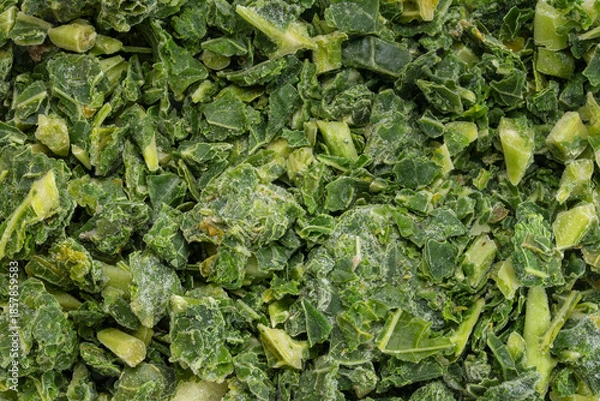 Obraz frozen chopped kale - top view closeup background and texture