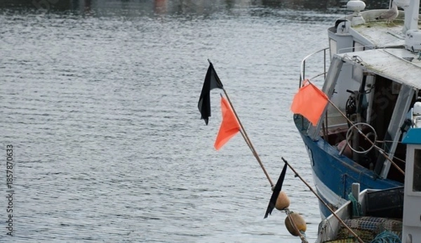 Fototapeta Drapeaux de balises .