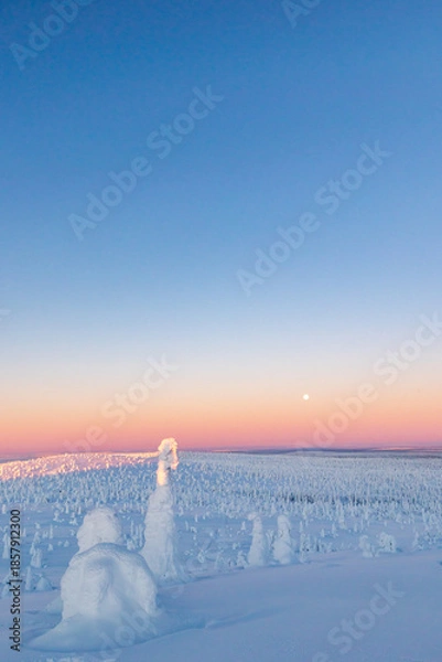 Obraz winter landscape with snow