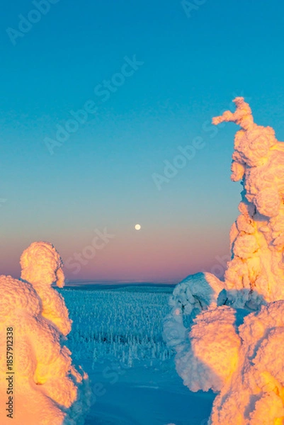 Obraz winter landscape at sunset