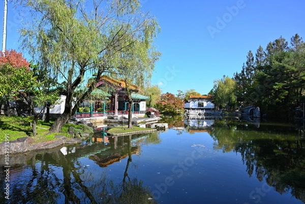 Obraz 天寿園の庭園内に色づく紅葉（新潟県新潟市中央区）