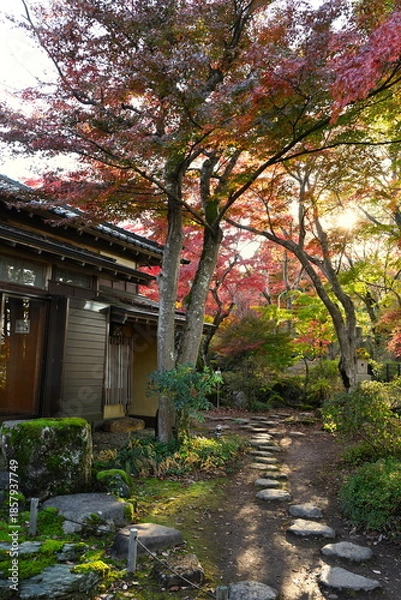 Obraz 越路もみじ園に広がる紅葉の風景（新潟県長岡市）