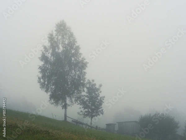 Obraz Fog and mist at the village in the carpatian mountains