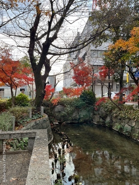 Fototapeta 佐賀の水路