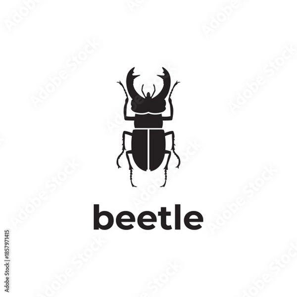 Fototapeta simple black beetle vector design