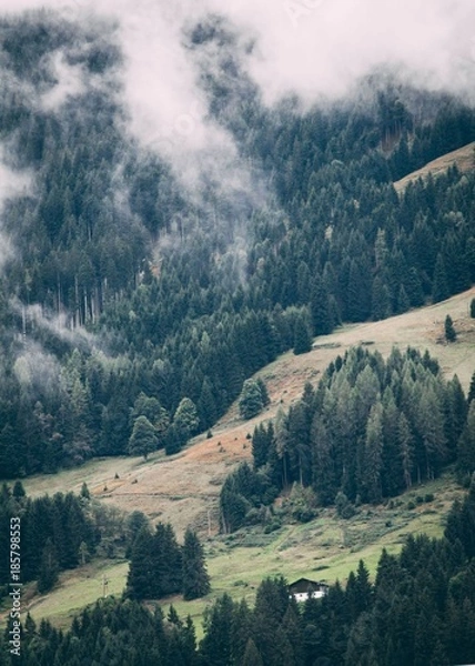 Fototapeta Green forest and clouds 