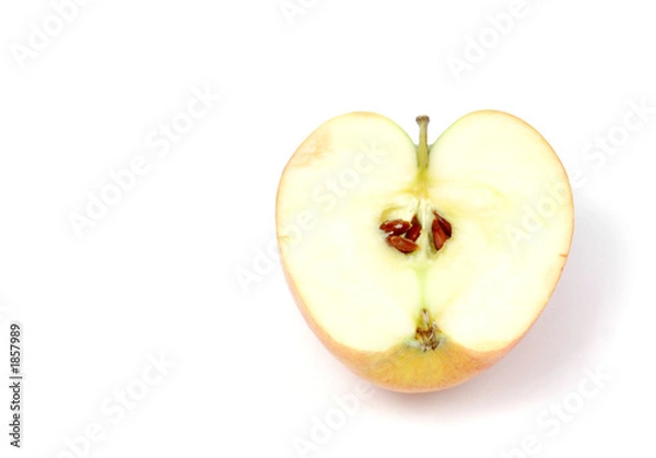 Obraz singlesliceapple