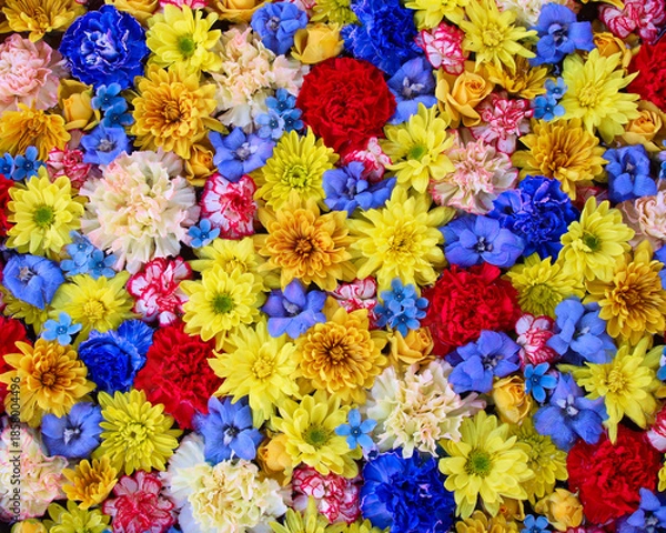 Fototapeta 花手水