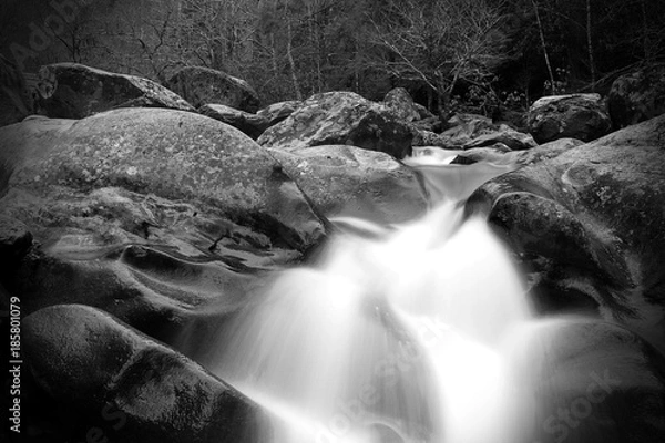 Obraz Blurred Motion and Slow Shutter Waterscape Black and White Photography of a River Waterfall in the Great Smoky Mountains.