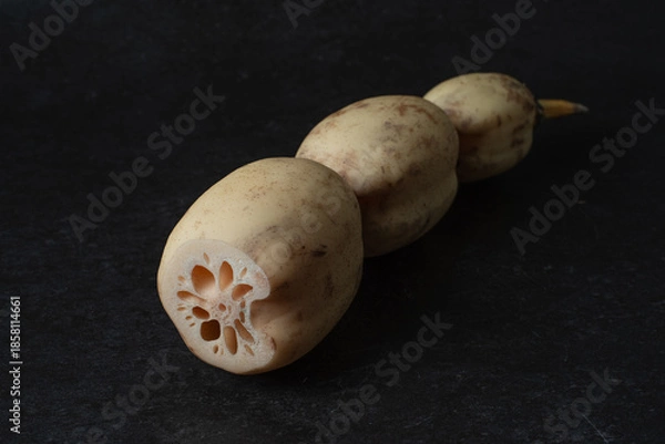 Obraz 黒背景の蓮根のアップ