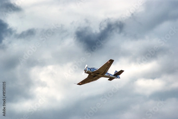 Obraz Air acrobatics