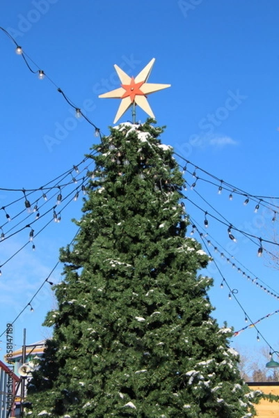 Obraz Christmas tree 