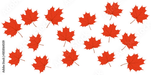 Obraz Maple leaf texture pattern vector background.