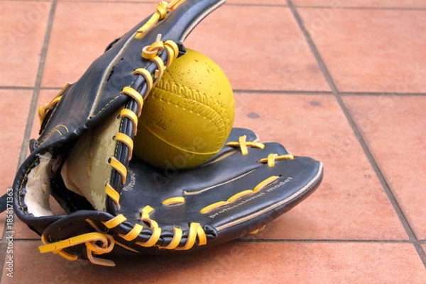 Fototapeta グローブとボール
