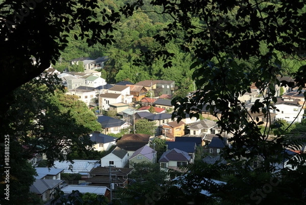 Obraz 鎌倉の祇園山ハイキングコースの尾根から眼下の大町の閑静な住宅街を見る