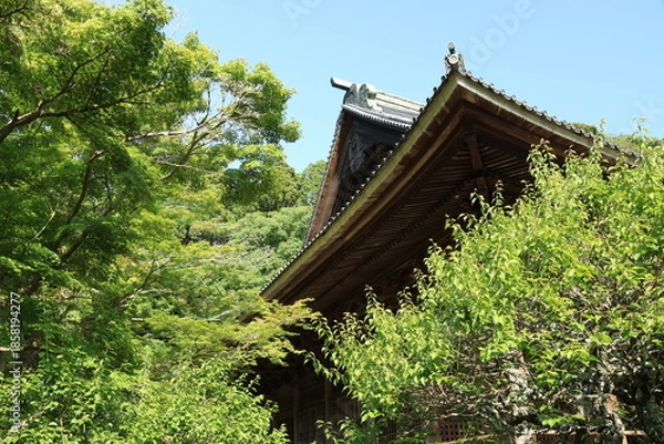 Obraz 樹木に囲まれた夏の鎌倉の妙本寺の境内の風景