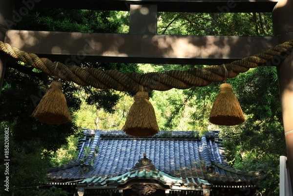 Obraz 日差しが当たる神社のしめ縄と鳥居　夏