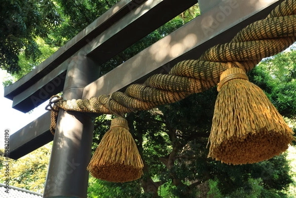 Obraz 日差しが当たる神社のしめ縄と鳥居　夏