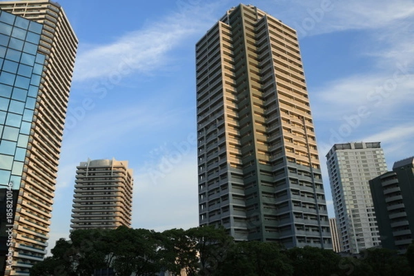 Fototapeta 横浜ポートサイドエリアの高層ビル