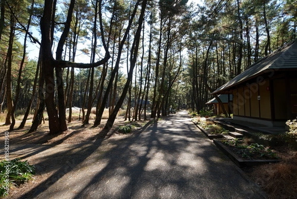 Obraz 宮崎県宮崎市の英国式庭園