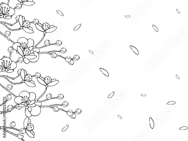 Obraz 花びら舞い散る梅の背景イラスト