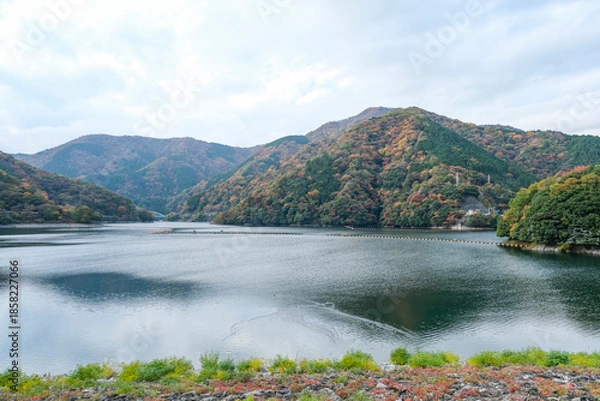 Obraz 木々の紅葉が進む丹沢湖