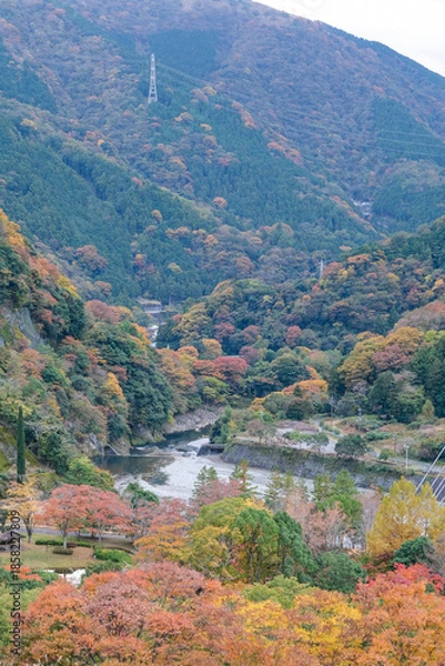 Obraz 三保ダムから見た河内川と紅葉した山々