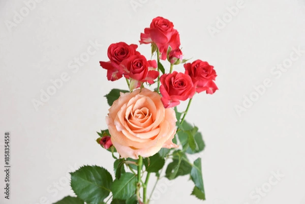 Obraz 二色のばら