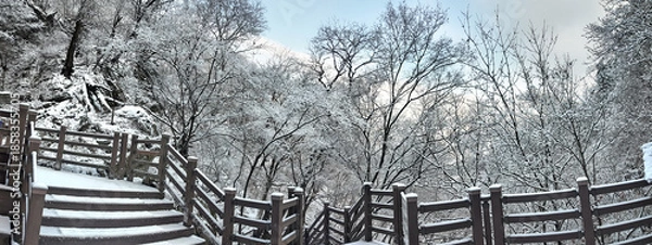 Obraz 눈 쌓여 아름다운 겨울 등산 길