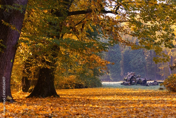 Obraz Golden autumn morning in the park with sun rays, natural background or travel wallpaper