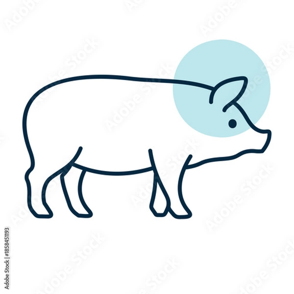 Obraz Domestic Pig Side View Flat Line