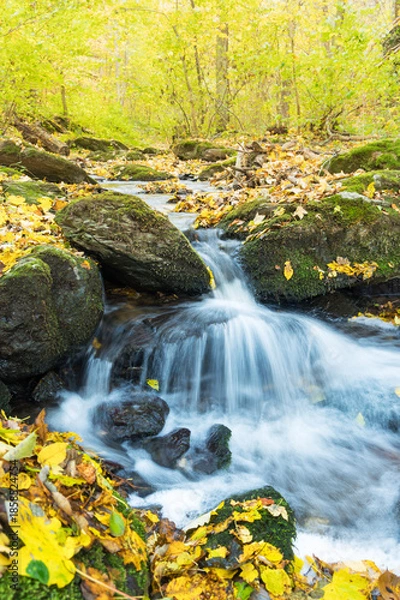 Obraz Landscape image with small creek